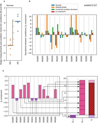 Regulatory Modules of Metabolites and Protein Phosphorylation in Arabidopsis Genotypes With Altered Sucrose Allocation